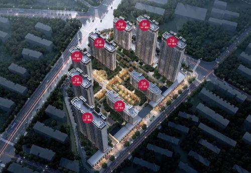 金樾府房价最新爆料,品质生活新标杆，投资自住两相宜！”